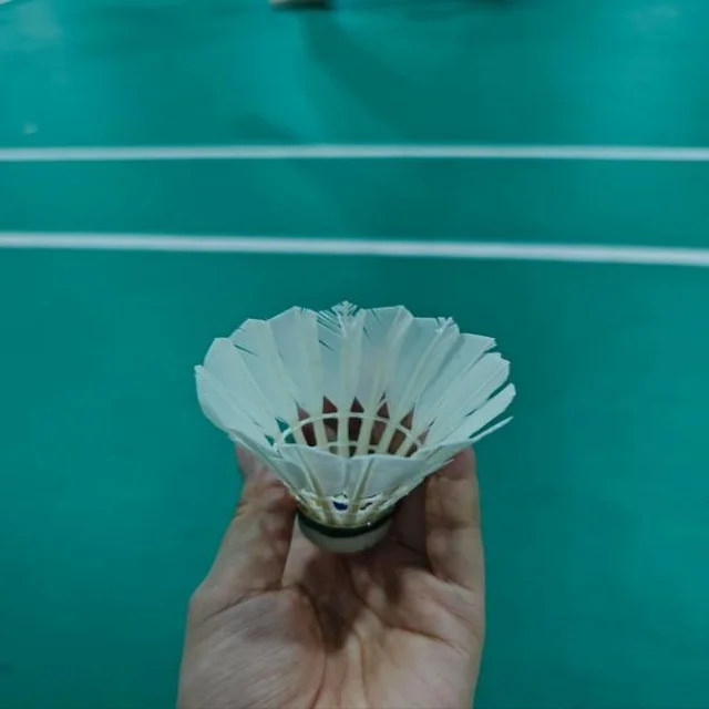深度解析网球红土赛程观察的独特视角